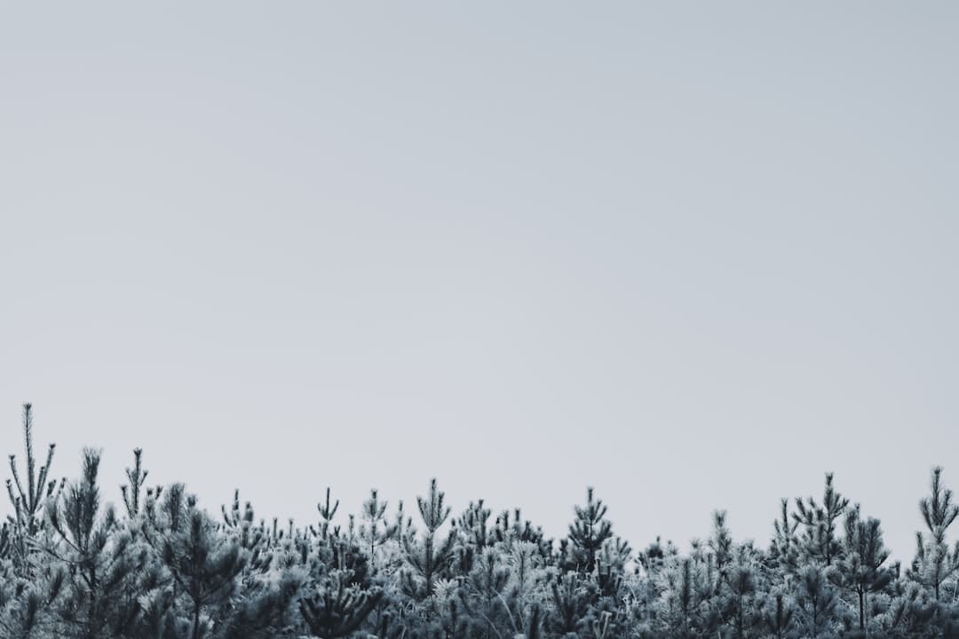 盖尔·加朵回应《白雪公主》票房惨败